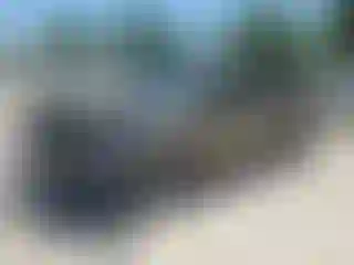 Vehicle Image- 2002 Ford F-150