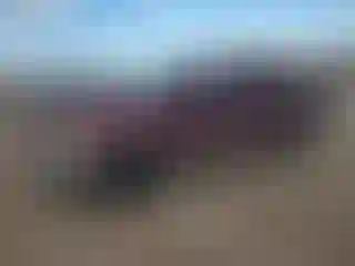 Vehicle Image- 1999 Ford F-150