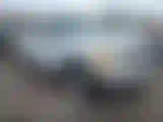 Vehicle Image- 2004 Ford F-150