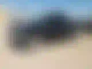 Vehicle Image- 2002 Ford F-150