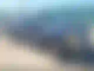 Vehicle Image- 2001 Ford F-150