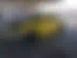 Vehicle Image- 2015 Chevrolet Camaro