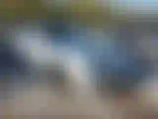 Vehicle Image- 2011 Chevrolet Camaro