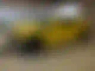 Vehicle Image- 2011 Chevrolet Camaro