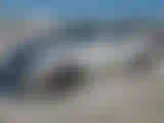 Vehicle Image- 2010 Chevrolet Camaro