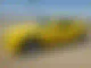 Vehicle Image- 2015 Chevrolet Camaro