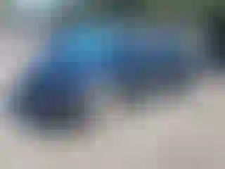 Vehicle Image- 2015 Chevrolet Camaro