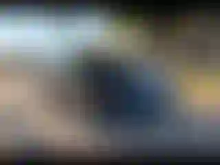 Vehicle Image- 2014 Chevrolet Camaro