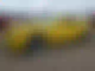 Vehicle Image- 2011 Chevrolet Camaro