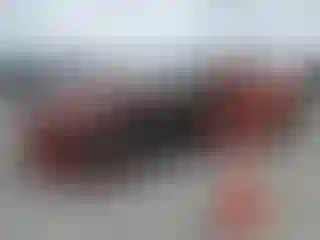 Vehicle Image- 2011 Chevrolet Camaro