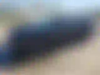 Vehicle Image- 2011 Chevrolet Camaro