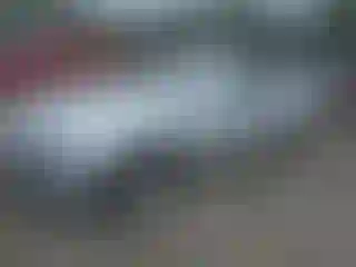 Vehicle Image- 2011 Chevrolet Camaro