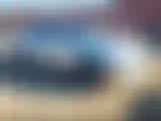 Vehicle Image- 2010 Chevrolet Camaro