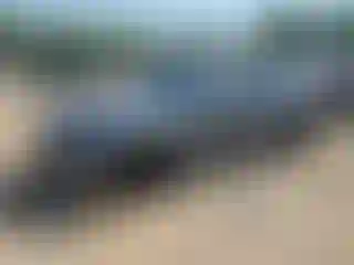 Vehicle Image- 2014 Chevrolet Camaro
