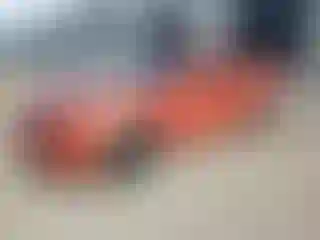 Vehicle Image- 2010 Chevrolet Camaro