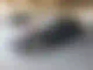 Vehicle Image- 2010 Chevrolet Camaro