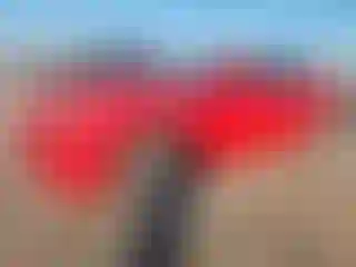 Vehicle Image- 2014 Chevrolet Camaro