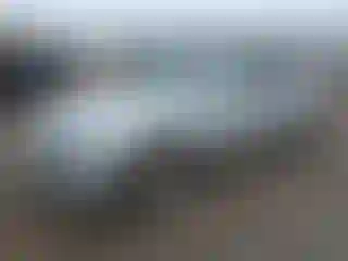 Vehicle Image- 2015 Chevrolet Camaro