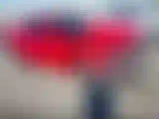 Vehicle Image- 2010 Chevrolet Camaro