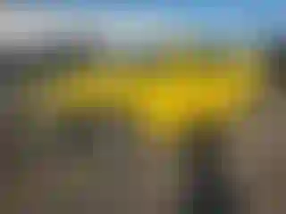 Vehicle Image- 2011 Chevrolet Camaro