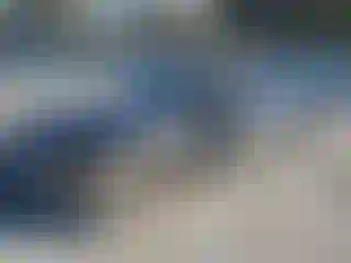 Vehicle Image- 2011 Chevrolet Camaro