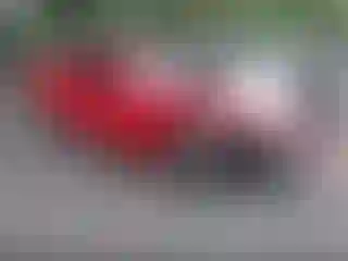 Vehicle Image- 2011 Chevrolet Camaro