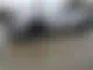 Vehicle Image- 2010 Chevrolet Camaro