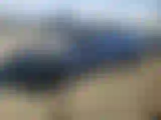 Vehicle Image- 2011 Chevrolet Camaro