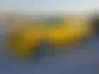 Vehicle Image- 2011 Chevrolet Camaro