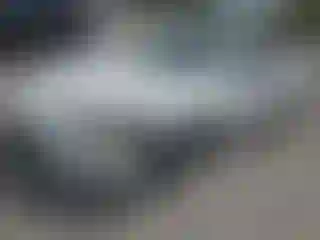 Vehicle Image- 1999 Chevrolet Camaro