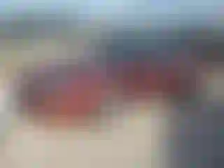 Vehicle Image- 2002 Chevrolet Camaro
