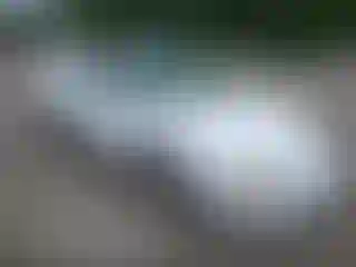 Vehicle Image- 2002 Chevrolet Camaro