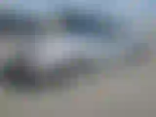 Vehicle Image- 2002 Chevrolet Camaro