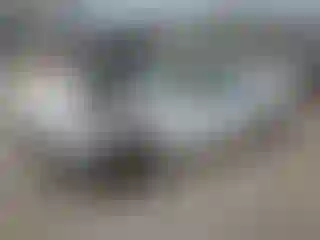 Vehicle Image- 1996 Chevrolet Camaro
