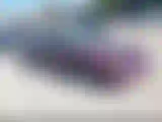 Vehicle Image- 1995 Chevrolet Camaro