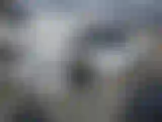 Vehicle Image- 1995 Chevrolet Camaro