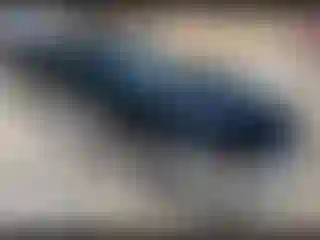 Vehicle Image- 1993 Chevrolet Camaro