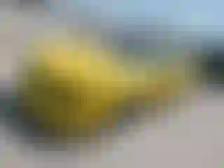 Vehicle Image- 1994 Chevrolet Camaro