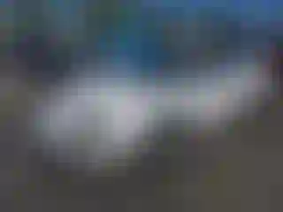 Vehicle Image- 1995 Chevrolet Camaro