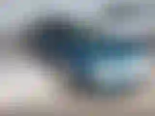 Vehicle Image- 2000 Chevrolet Camaro