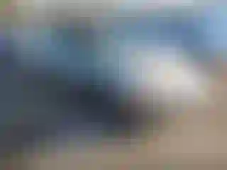 Vehicle Image- 2001 Chevrolet Camaro