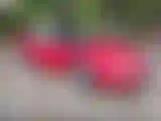 Vehicle Image- 2002 Chevrolet Camaro