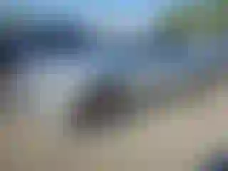 Vehicle Image- 2014 Chevrolet Camaro