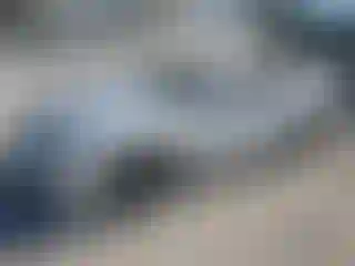 Vehicle Image- 2012 Chevrolet Camaro