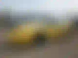 Vehicle Image- 2002 Pontiac Firebird
