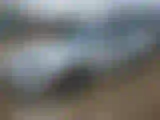 Vehicle Image- 2004 Pontiac Grand