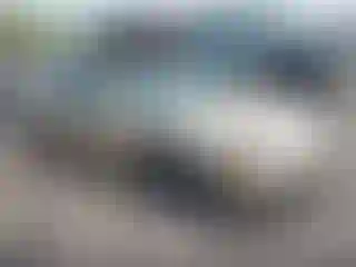Vehicle Image- 2004 Pontiac Grand