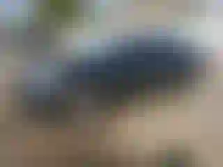 Vehicle Image- 2015 Cadillac XTS