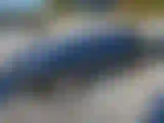 Vehicle Image- 2019 Cadillac XTS