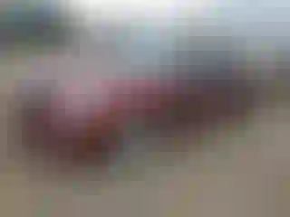 Vehicle Image- 2016 Cadillac XTS